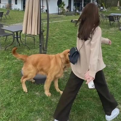 影版猎鬼少女巴菲