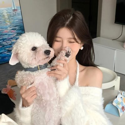 夏日的玫瑰